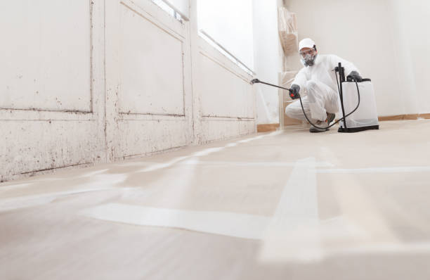 24/7 Emergency Basement Mold Remediation experts in Honey Grove, PA